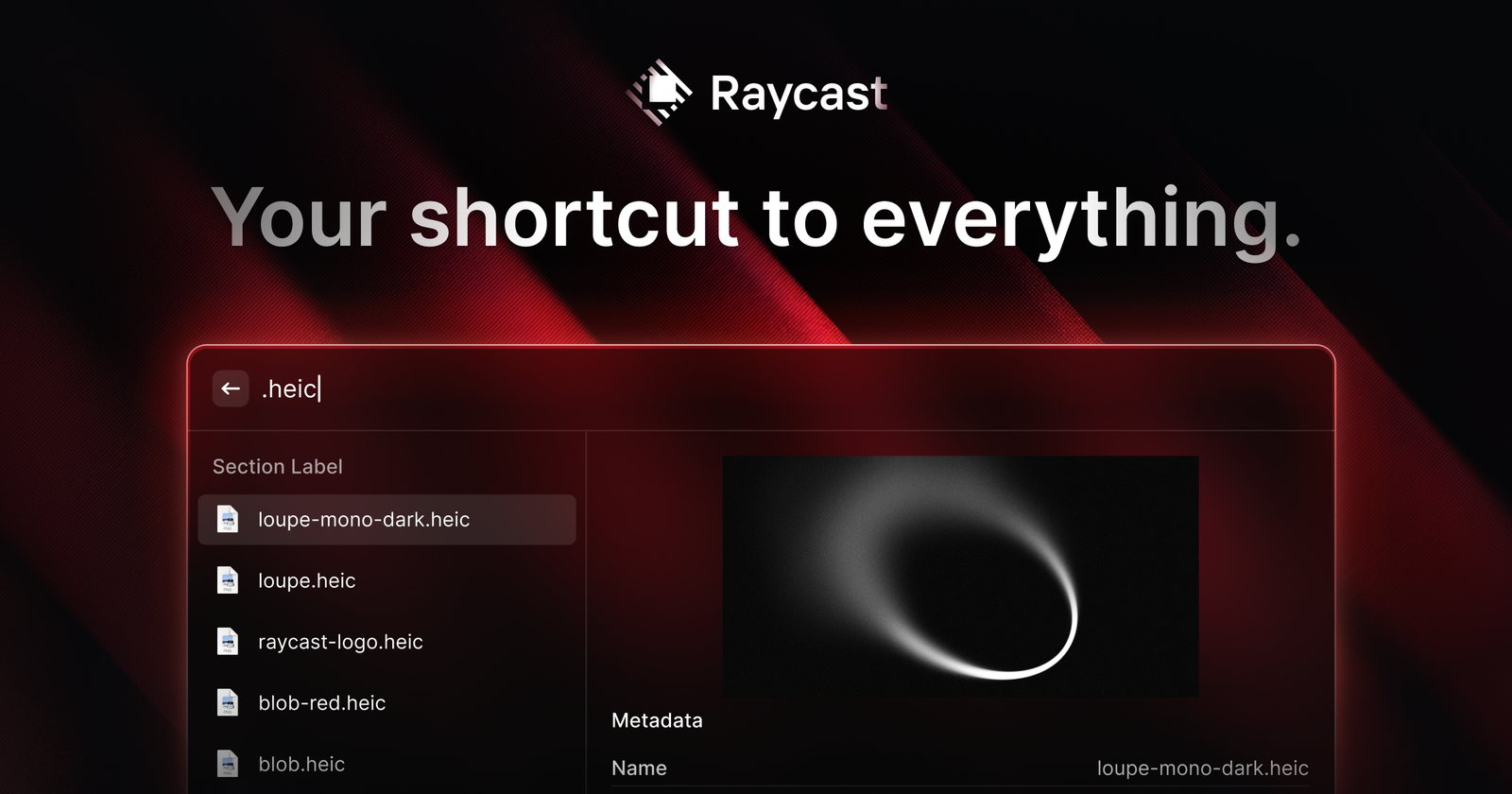 Raycast AI